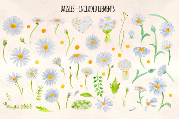 Daisies Watercolour Graphic Element Bundle