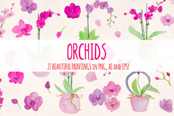 Orchids in Design: A Watercolour Graphic Element Bundle