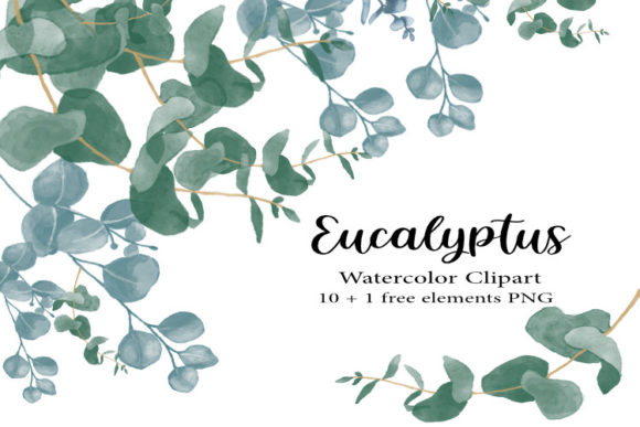 Watercolor Eucalyptus Clipart, Greenery
